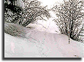 snowmobiling